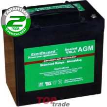 Аккумуляторная батарея EverExceed ST-1255 Аккумуляторная батарея EverExceed ST-1255